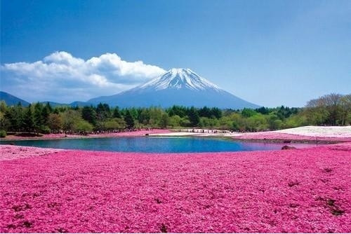 Best Japan Vacations Packages